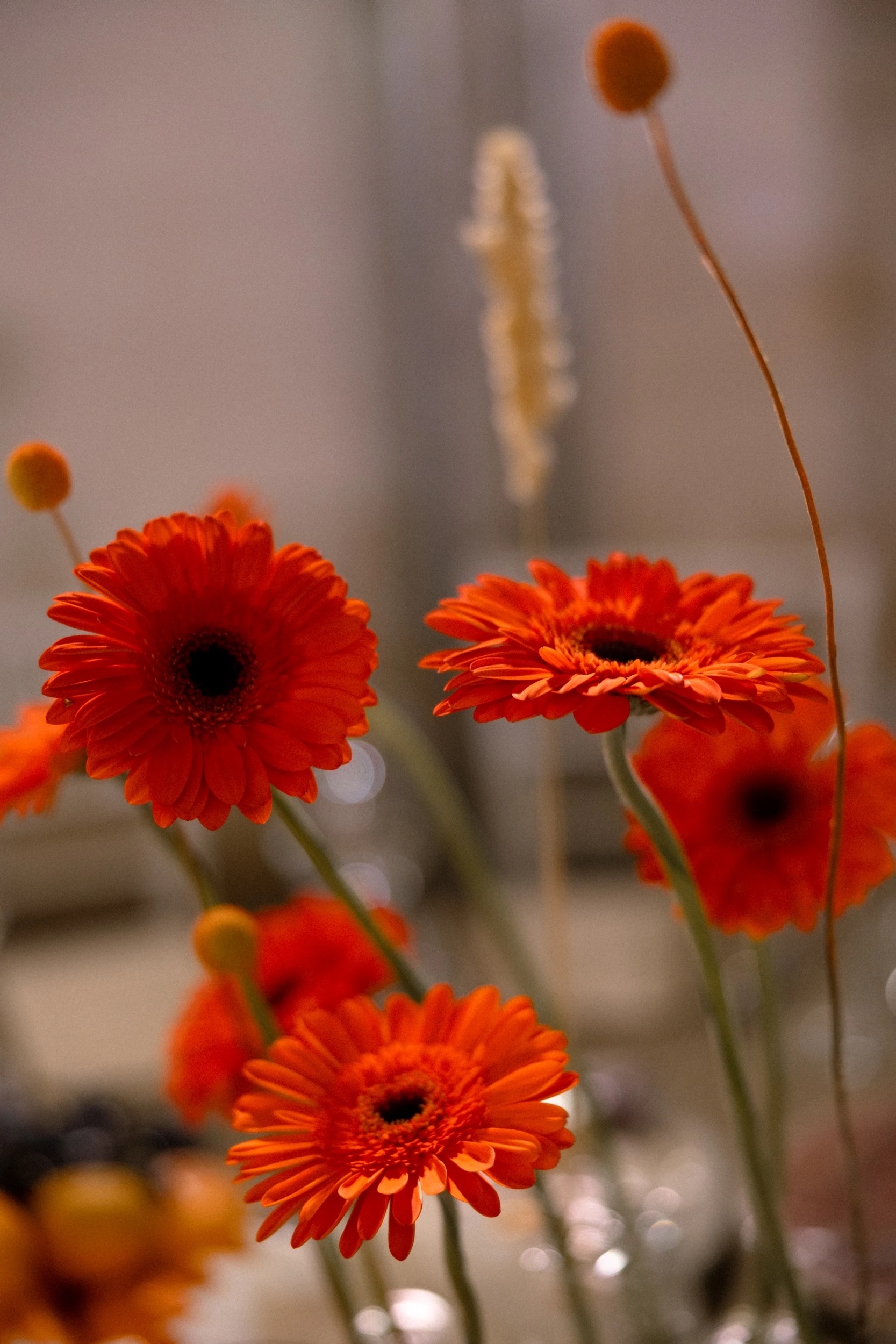 Любовь - есть жизнь